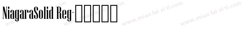 NiagaraSolid Reg字体转换